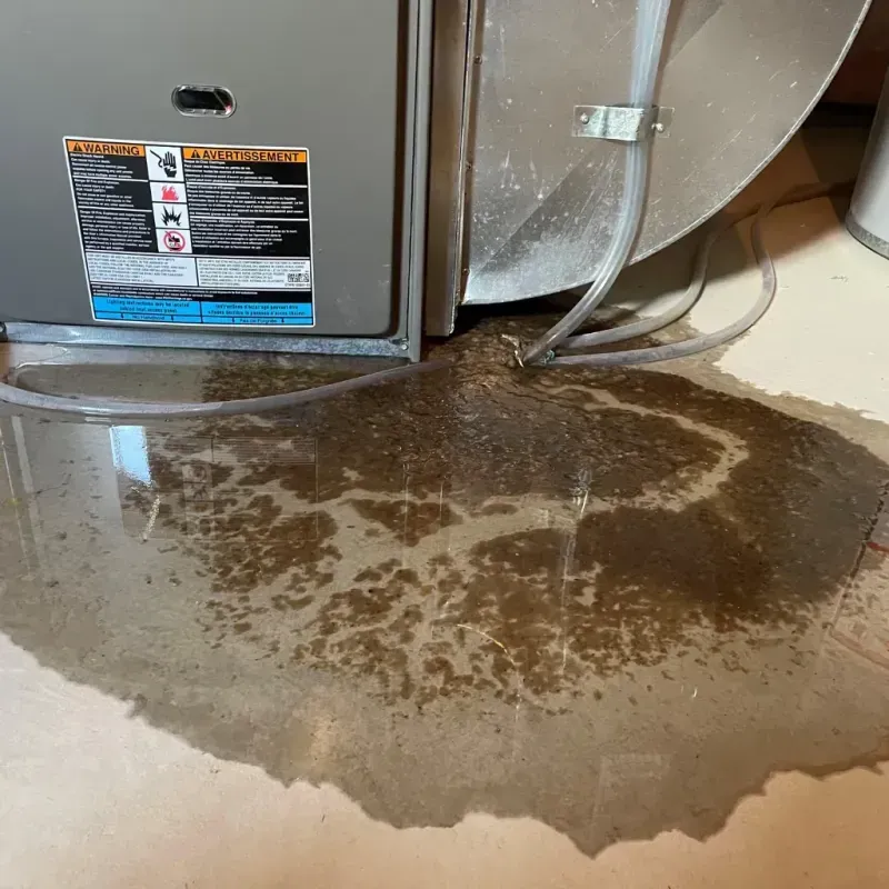 Appliance Leak Cleanup in Hollis, NY